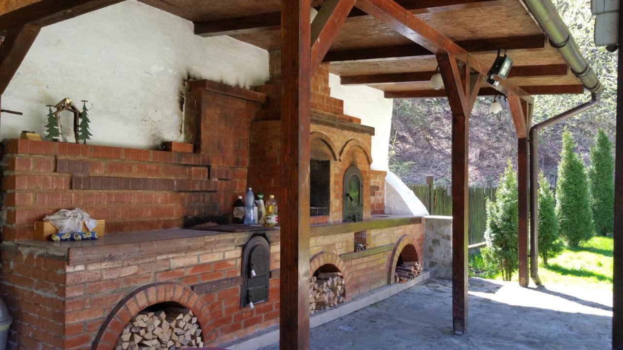 Casa Alex Villa Văliug Exteriör bild