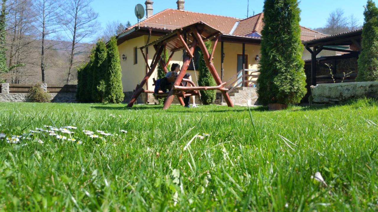 Casa Alex Villa Văliug Exteriör bild