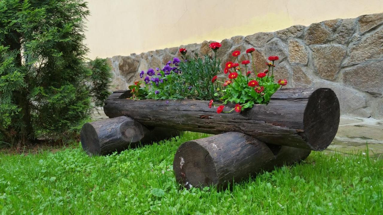 Casa Alex Villa Văliug Exteriör bild