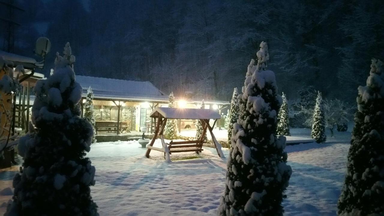 Casa Alex Villa Văliug Exteriör bild