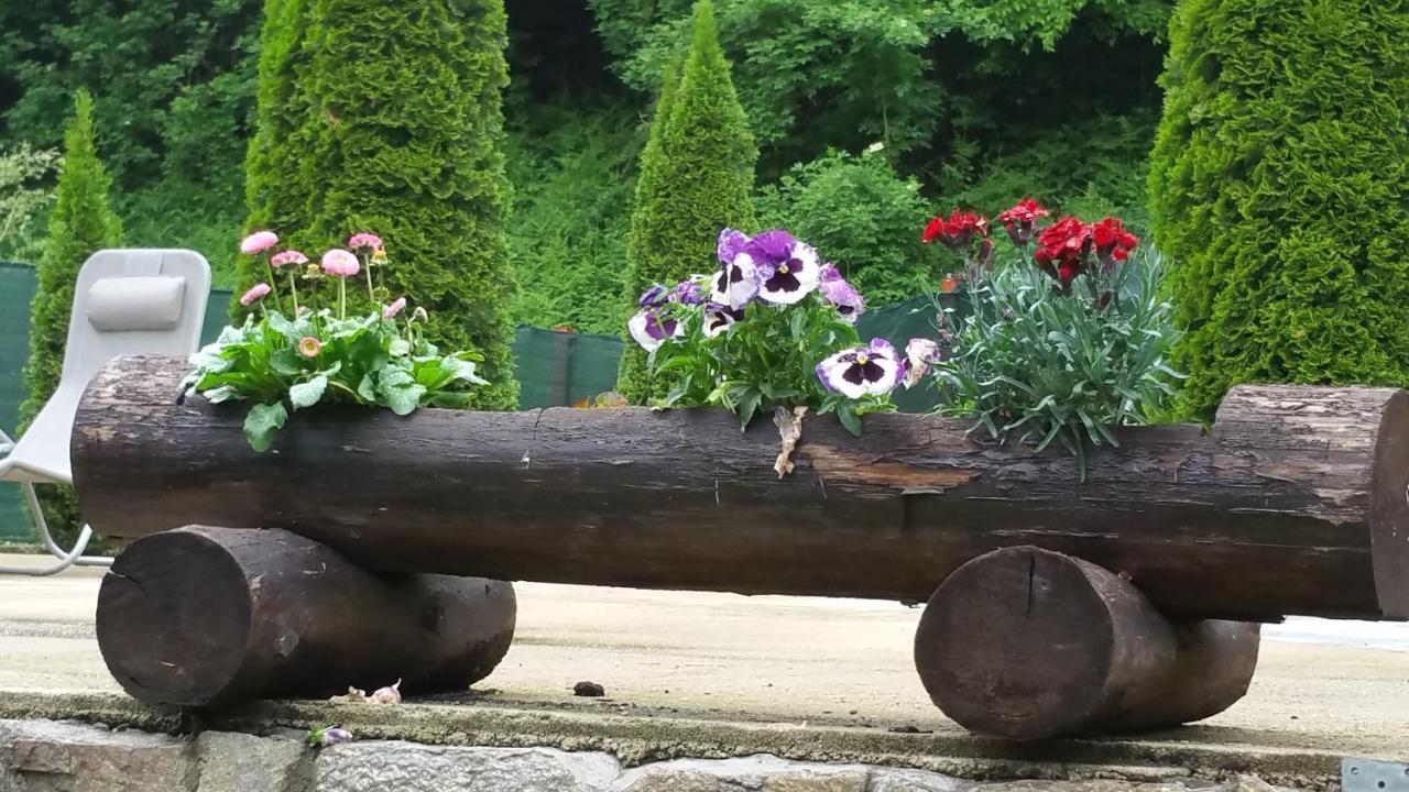 Casa Alex Villa Văliug Exteriör bild