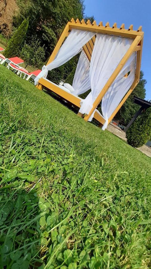 Casa Alex Villa Văliug Exteriör bild