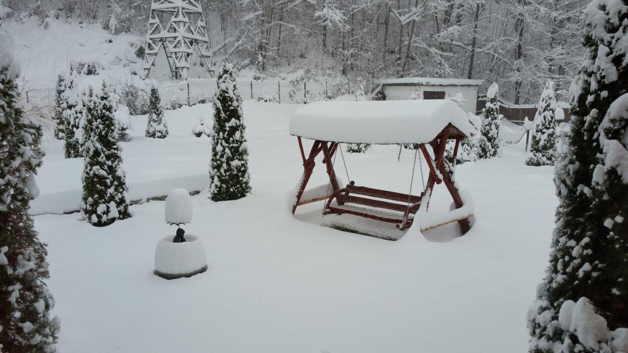 Casa Alex Villa Văliug Exteriör bild