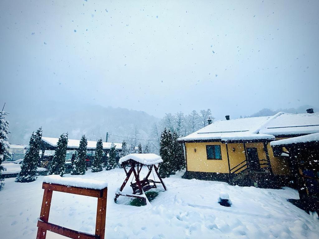Casa Alex Villa Văliug Exteriör bild