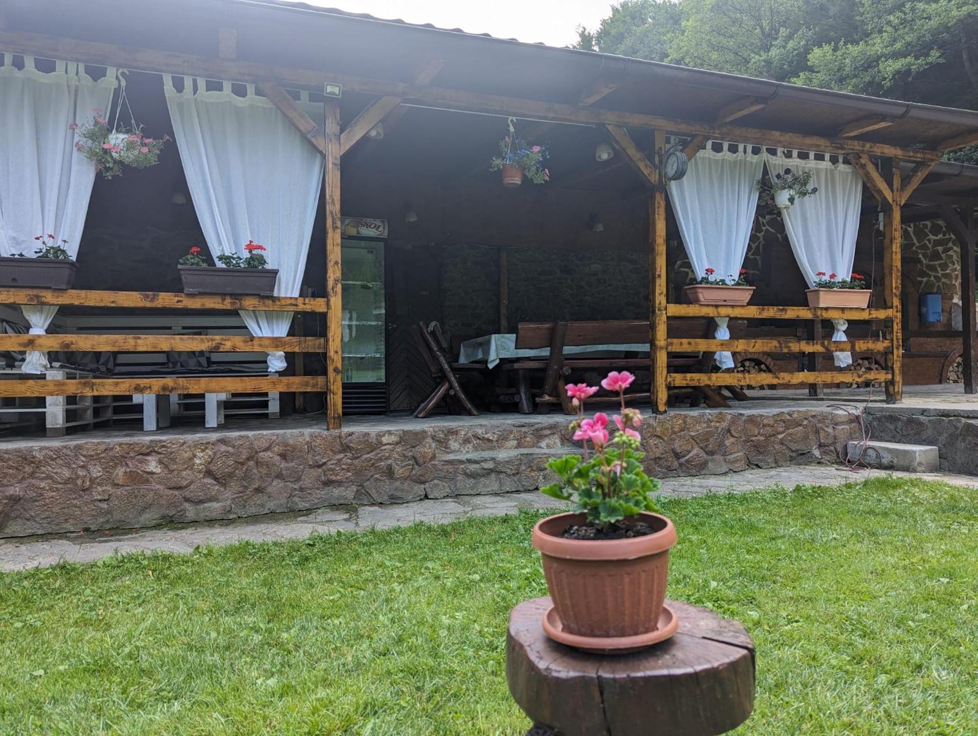 Casa Alex Villa Văliug Exteriör bild